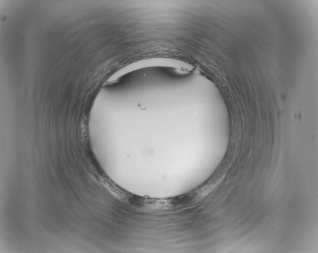 X0000061720288200512302128