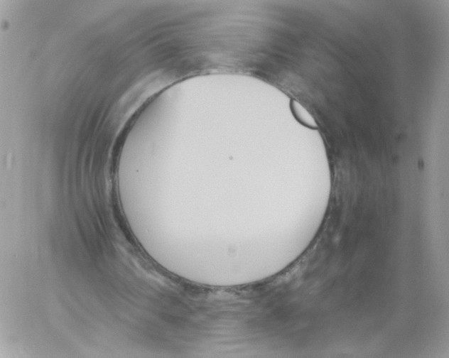 X0000061720290200512302127