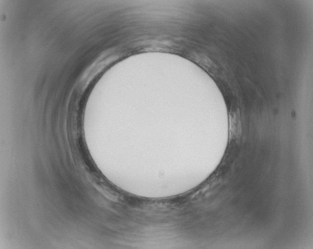 X0000061720291200512302127