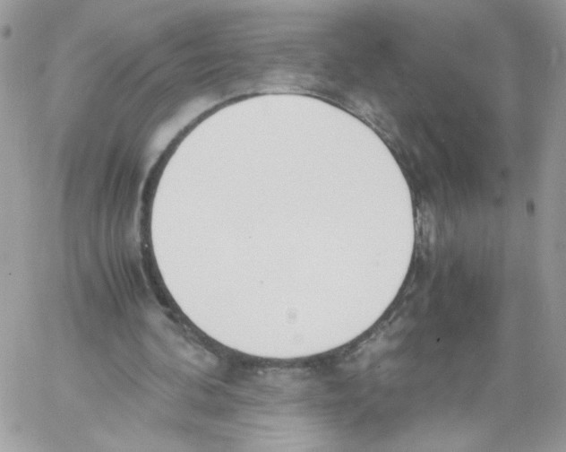 X0000061720292200512302127