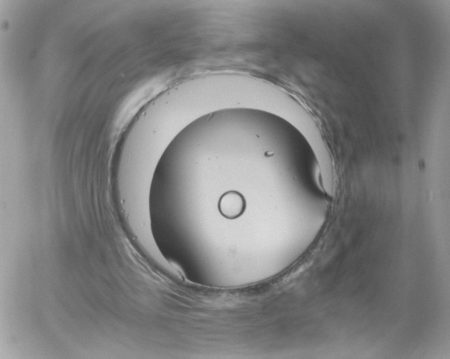 X0000061720293200512302127