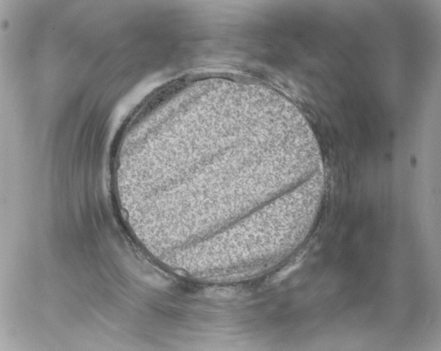 X0000061720294200512302127