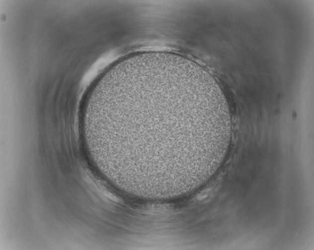 X0000061720296200512302127