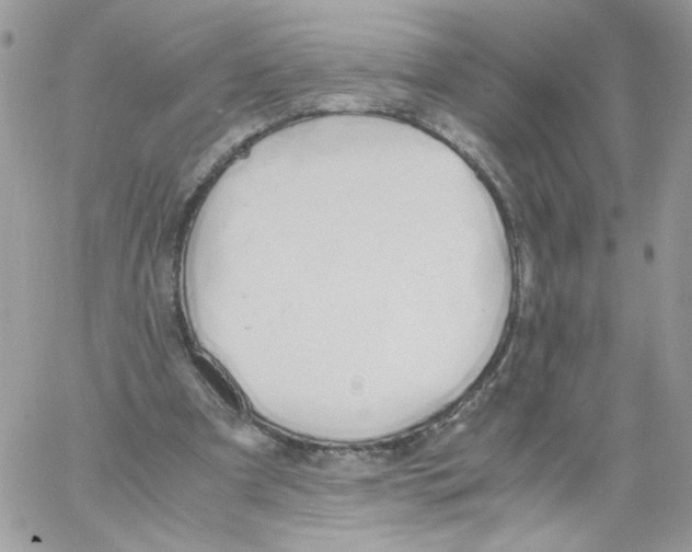 X0000061720297200512302127