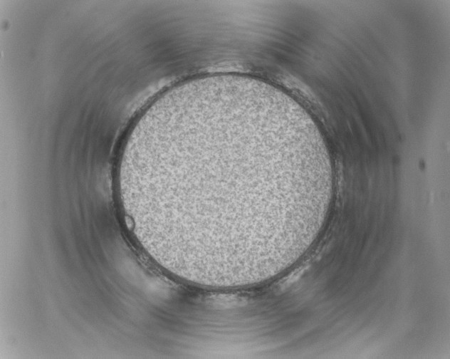 X0000061720298200512302127