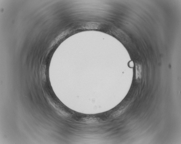 X0000061720300200512302127