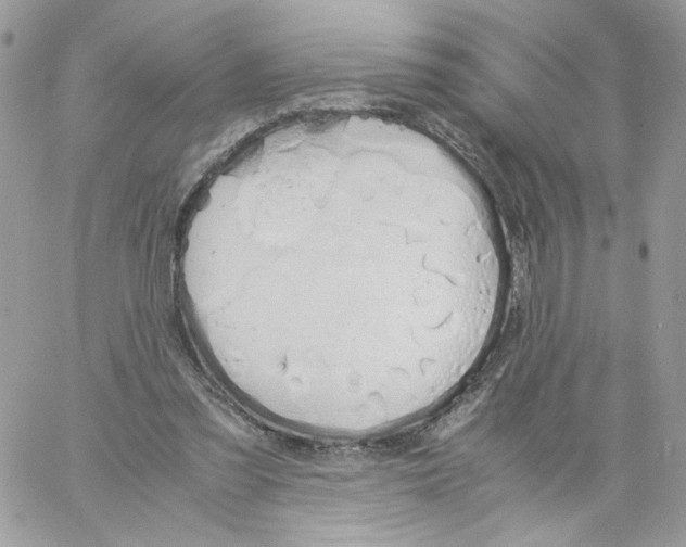 X0000061720301200512302127