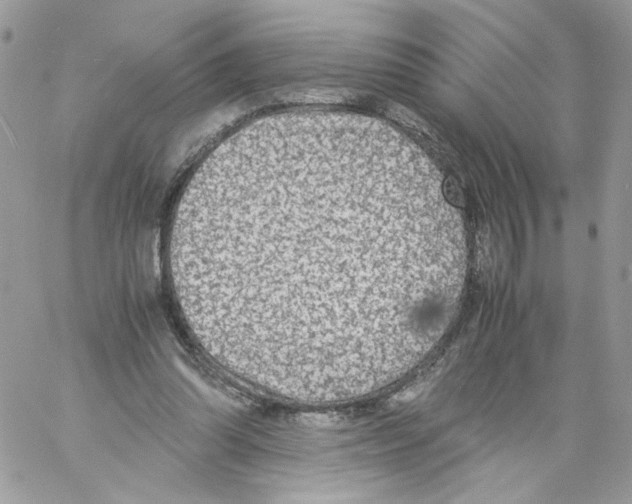 X0000061720302200512302127