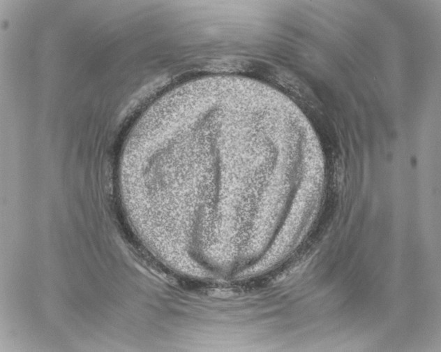 X0000061720303200512302127