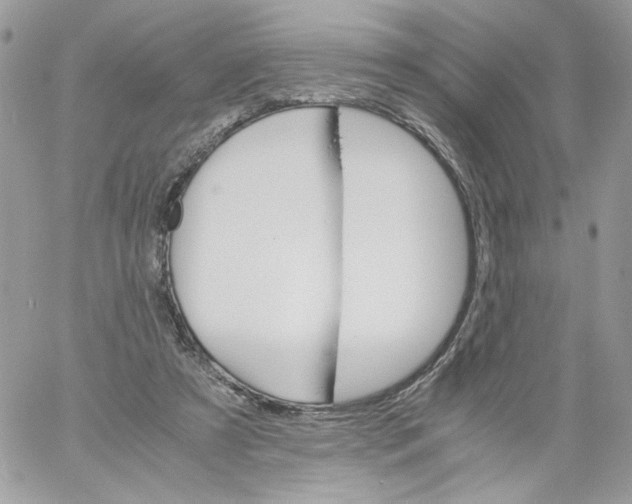 X0000061720305200512302127