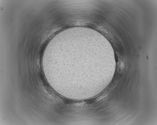 X0000061720306200512302127