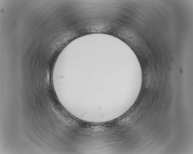 X0000061720310200512302126