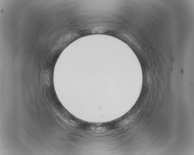 X0000061720311200512302126