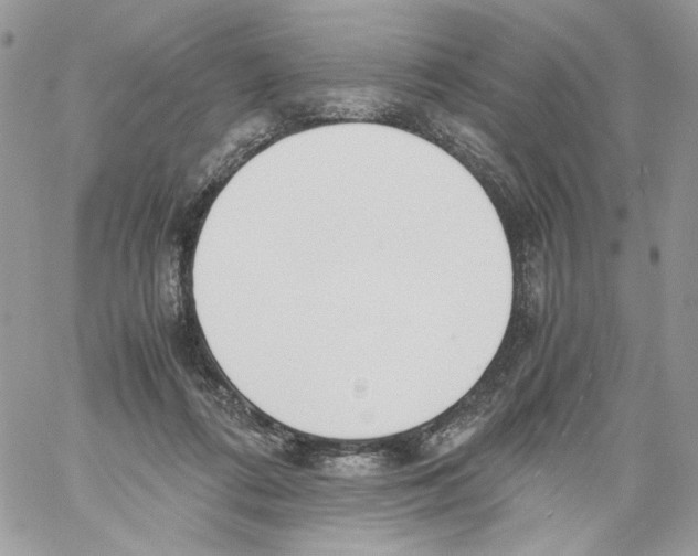 X0000061720312200512302126