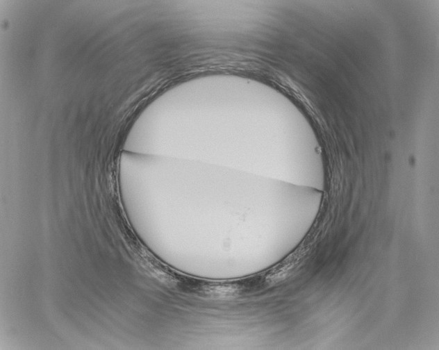 X0000061720313200512302126