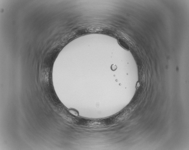 X0000061720315200512302126