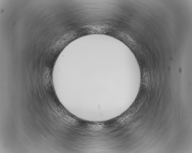 X0000061720318200512302126