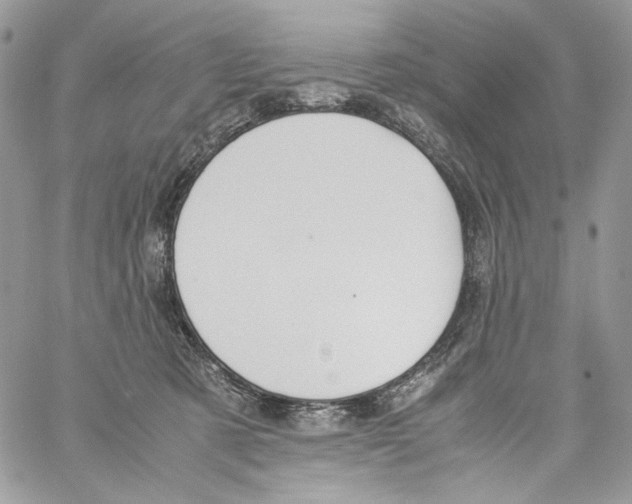 X0000061720321200512302126