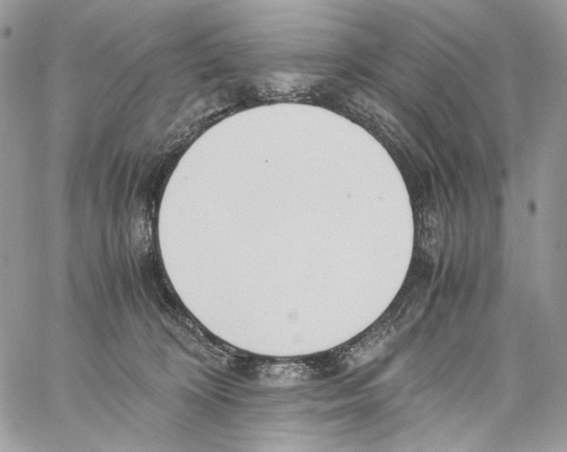 X0000061720324200512302126