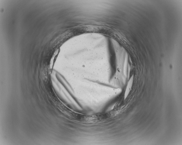 X0000061720325200512302126