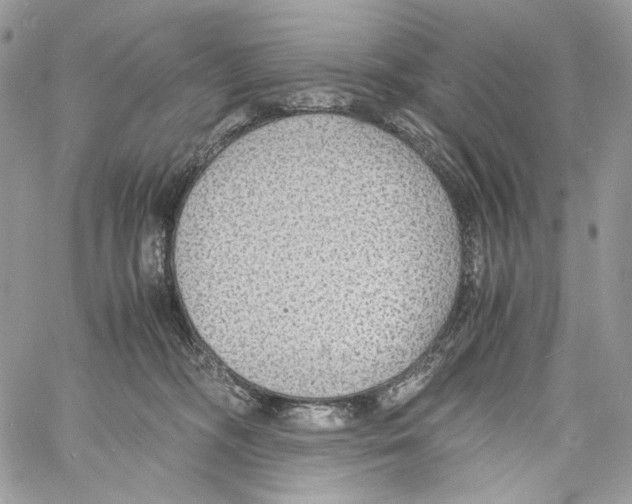 X0000061720326200512302126