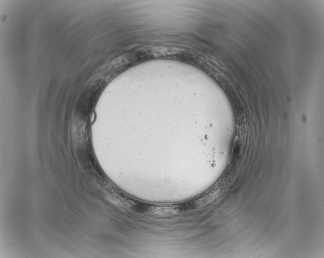 X0000061720327200512302126