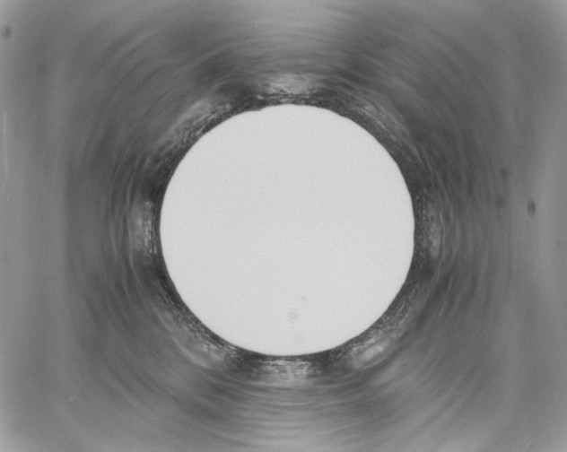 X0000061720328200512302126