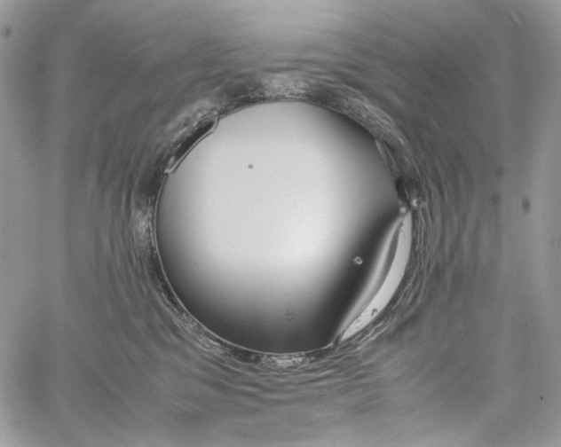 X0000061720329200512302126