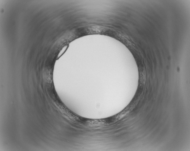 X0000061720331200512302126