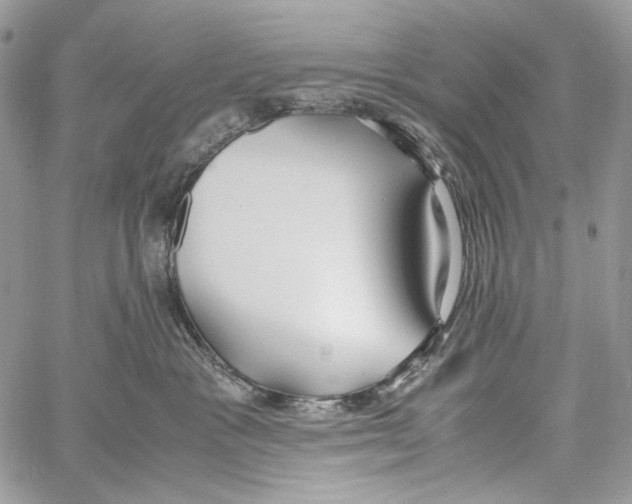 X0000061720333200512302126