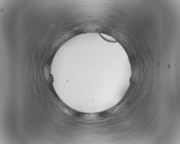 X0000061720335200512302126