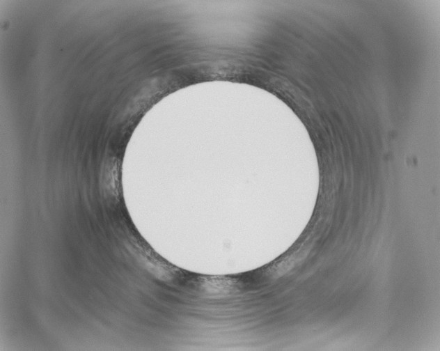 X0000061720336200512302126