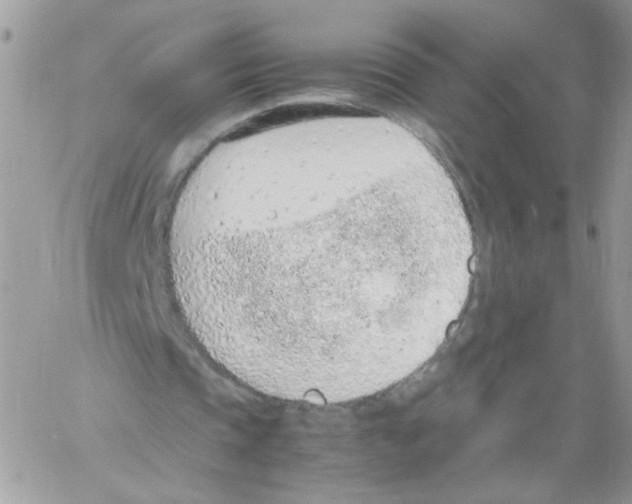 X0000061720337200512302125