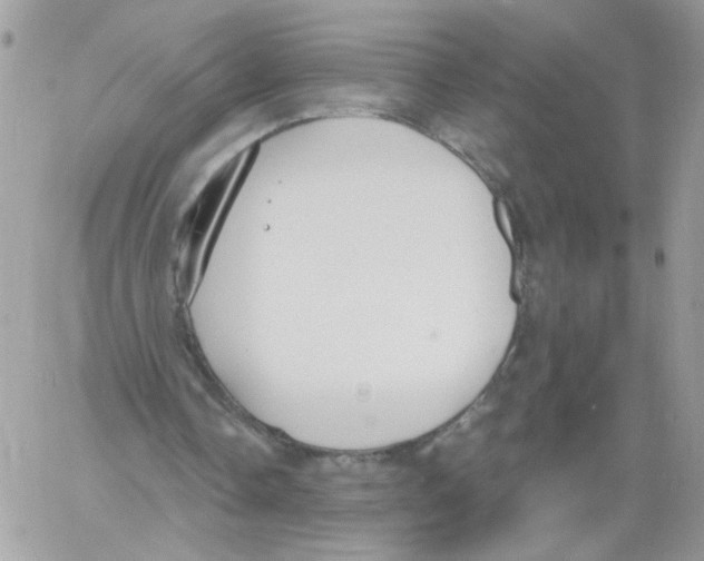 X0000061720338200512302125