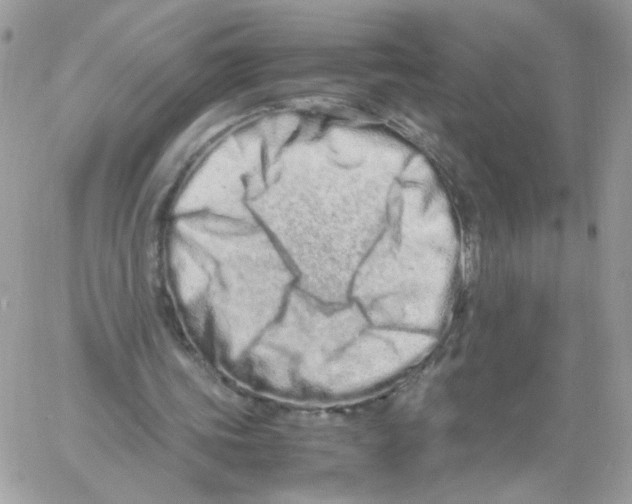 X0000061720339200512302125