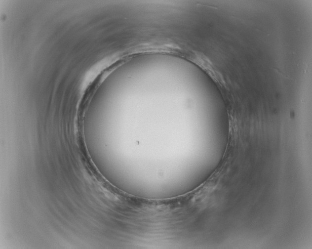 X0000061720340200512302125