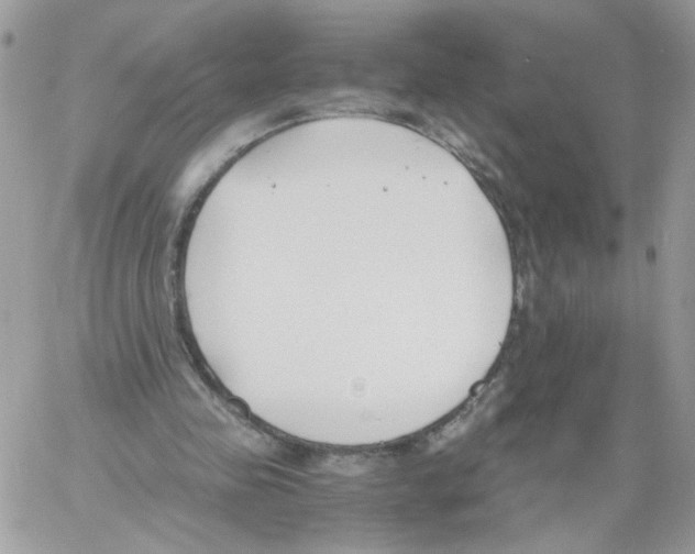 X0000061720341200512302125