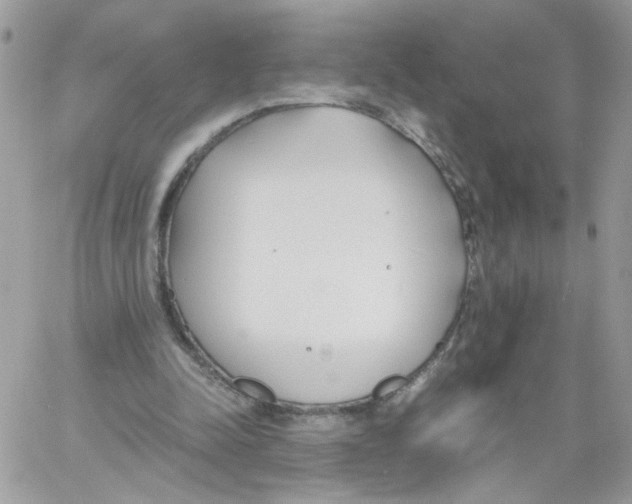 X0000061720342200512302125