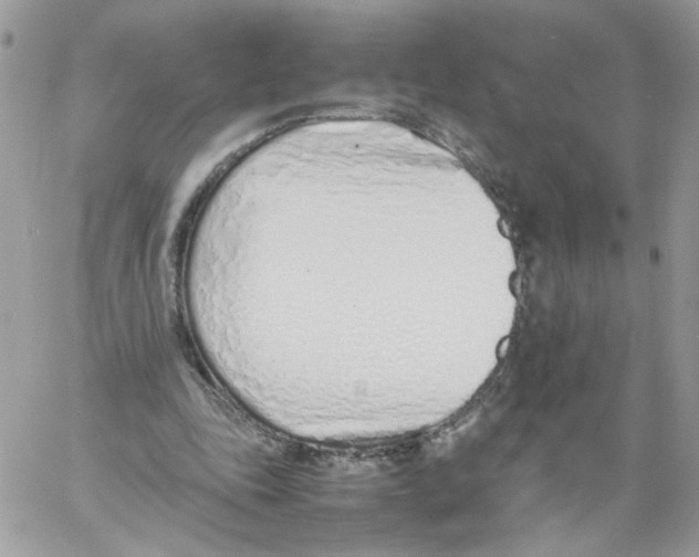 X0000061720343200512302125