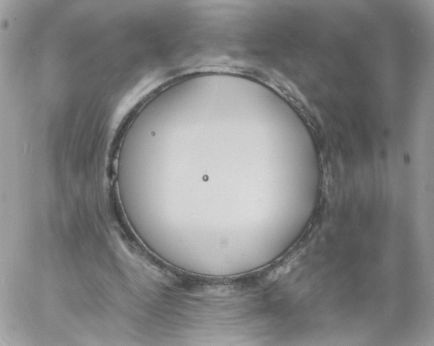 X0000061720344200512302125