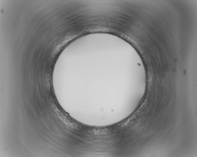 X0000061720345200512302125