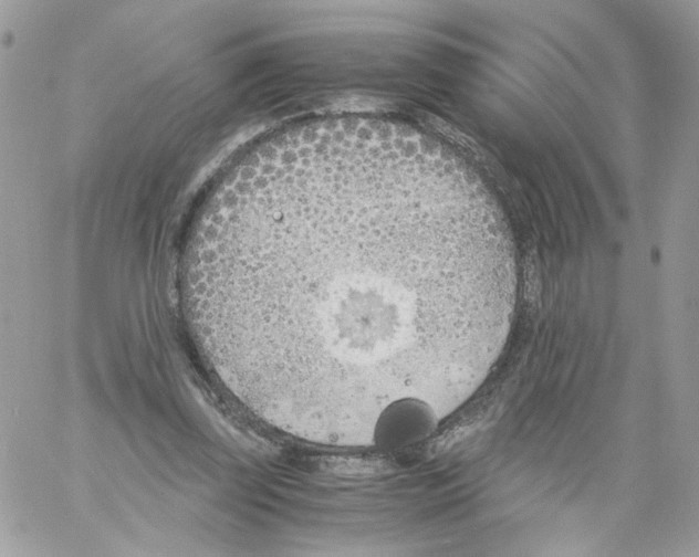 X0000061720347200512302125