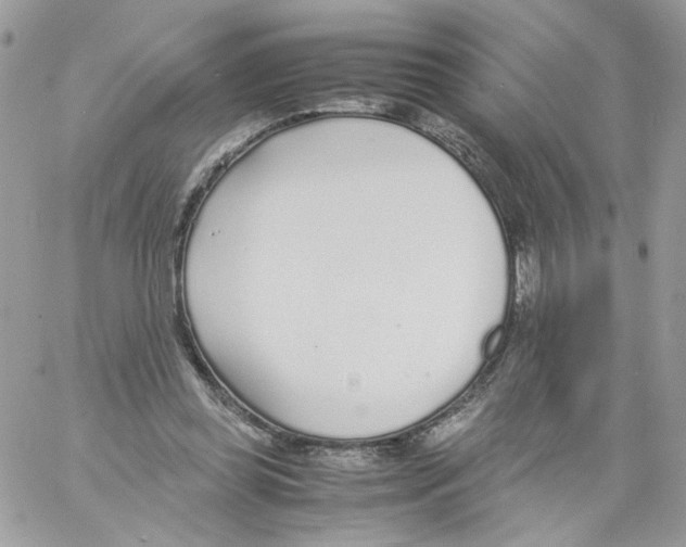 X0000061720349200512302125