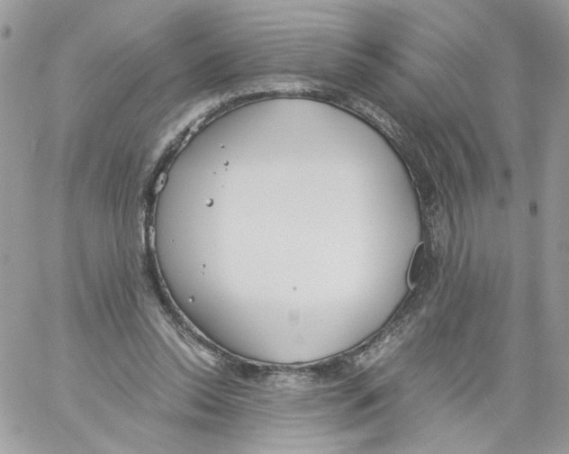 X0000061720350200512302125