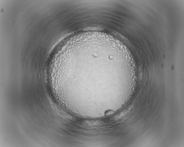 X0000061720351200512302125