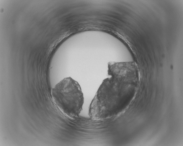 X0000061720353200512302126