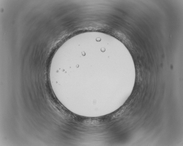 X0000061720354200512302126