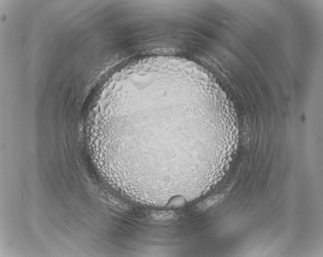 X0000061720355200512302126