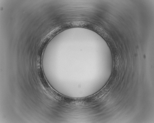 X0000061720356200512302126