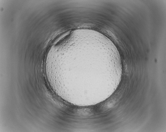 X0000061720357200512302126